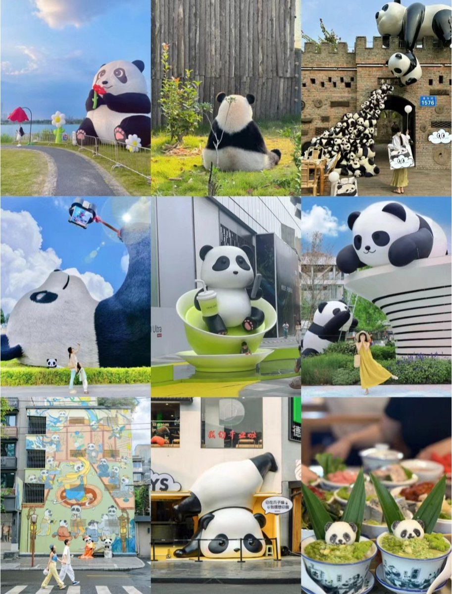 成都的大熊猫，你爱了吗？