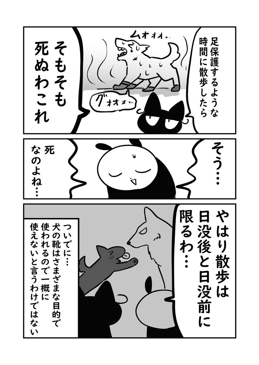 (6/6)
③犬と靴 