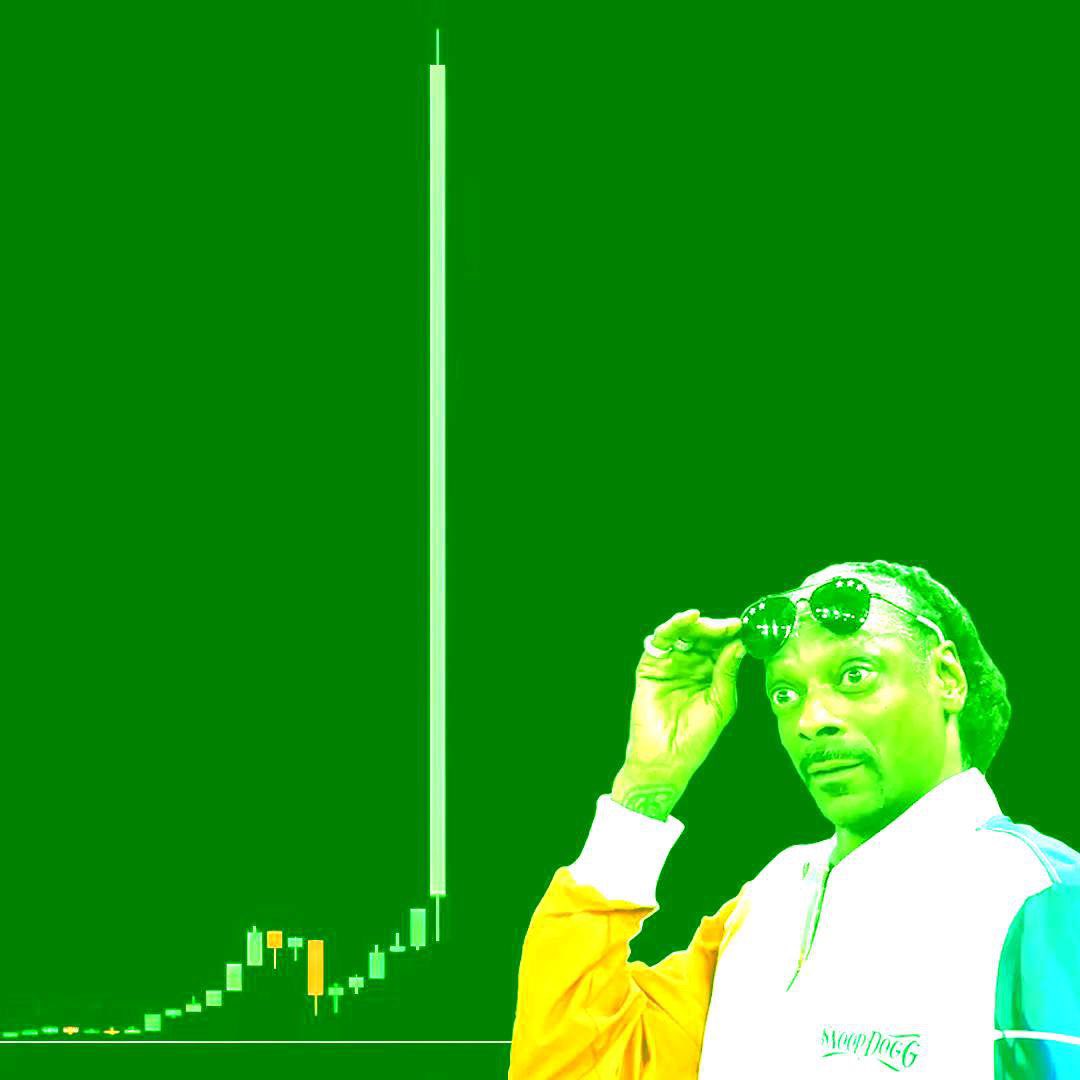 🟩🧃 Ecto Cooler 🧃🟩 tweet media