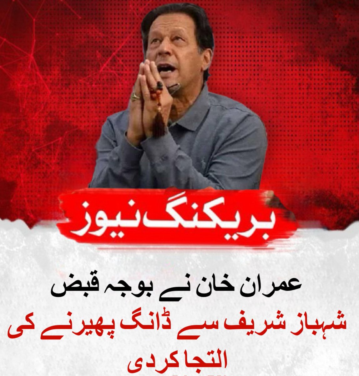 میاں عامر 🦁 tweet media