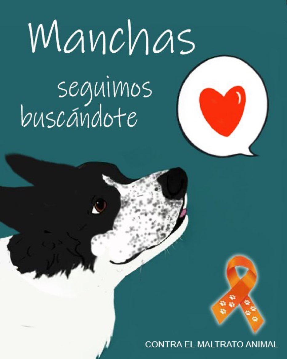 Rescata (@carmenzr04) on Twitter photo 