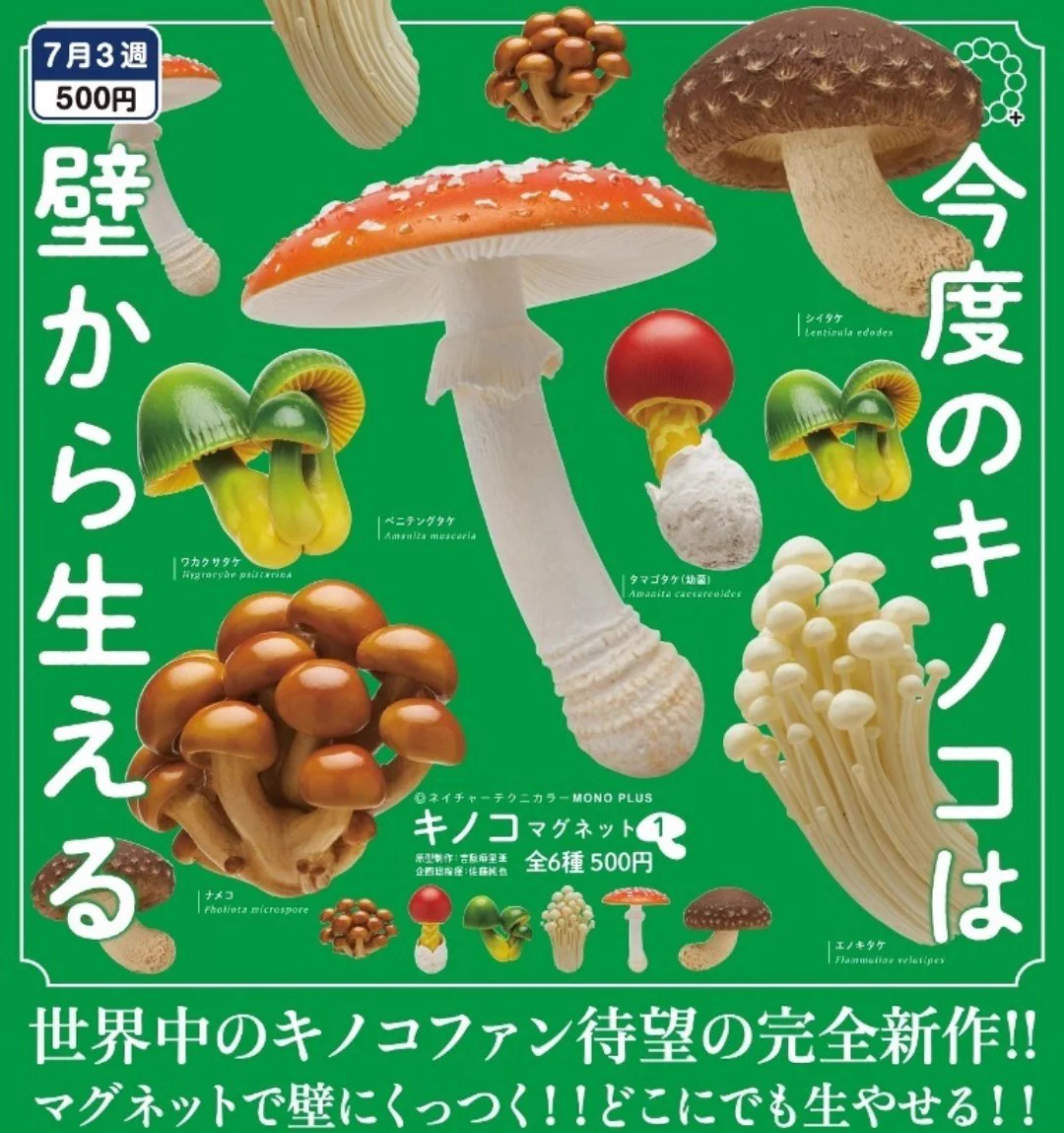 佐野書店 (SANO books) on X: 