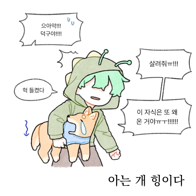 갈발조
모르는 개 산책 아는 개 힝이다