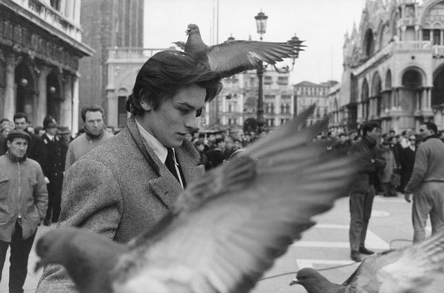 TheCinesthetic's tweet photo. Alain Delon photographed by Jack Garofalo in St Mark’s Square, Venice 1962 https://t.co/Rg7PndOVqg