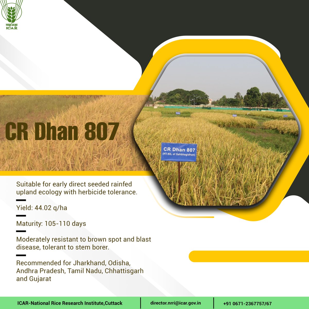 Indian Council of Agricultural Research. tweet media