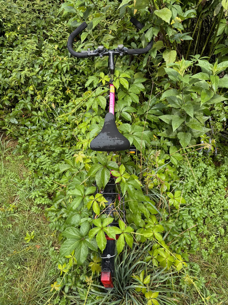 MParniske's tweet photo. #plantsAreAmazing
… and protect your bicycle from theft! https://t.co/kBuMWrjhHr