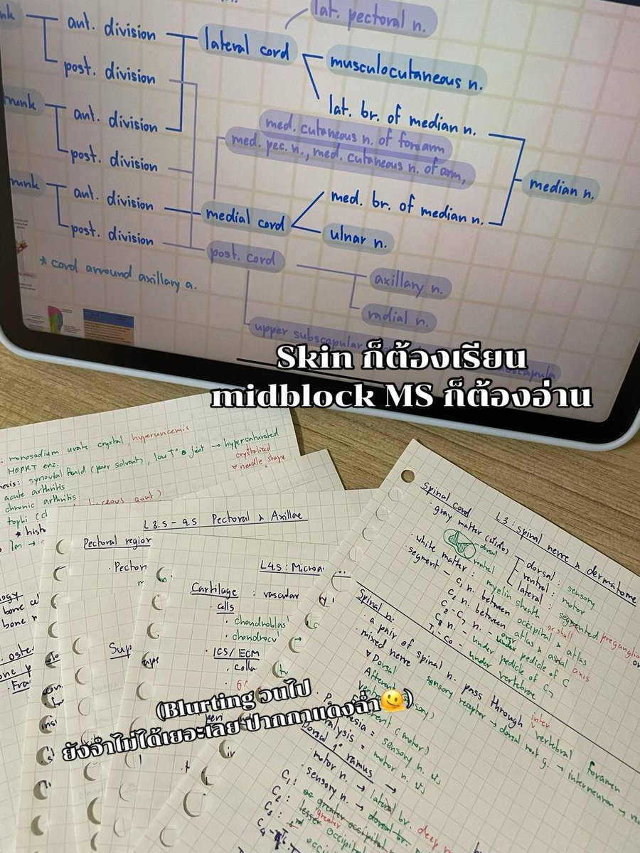 documed1ary's tweet image. weekly recap - week 10 yr 2

เป็นวีคที่เราคิดว่าน่าจะโหดที่สุดในปี 2 แล้ว เพราะต้องทำ TBL &amp;amp; PBL และต้องเตรียมสอบ midblock ms ไปด้วย ทิ้งอะไรไม่ได้สักอย่างเลย ล้ามากๆ🫠

#mymdkkud1ary #medstudentlife #1weekwithme #unilife