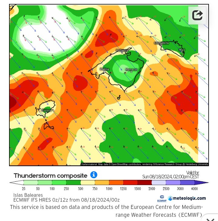 MetIllesBalears tweet media