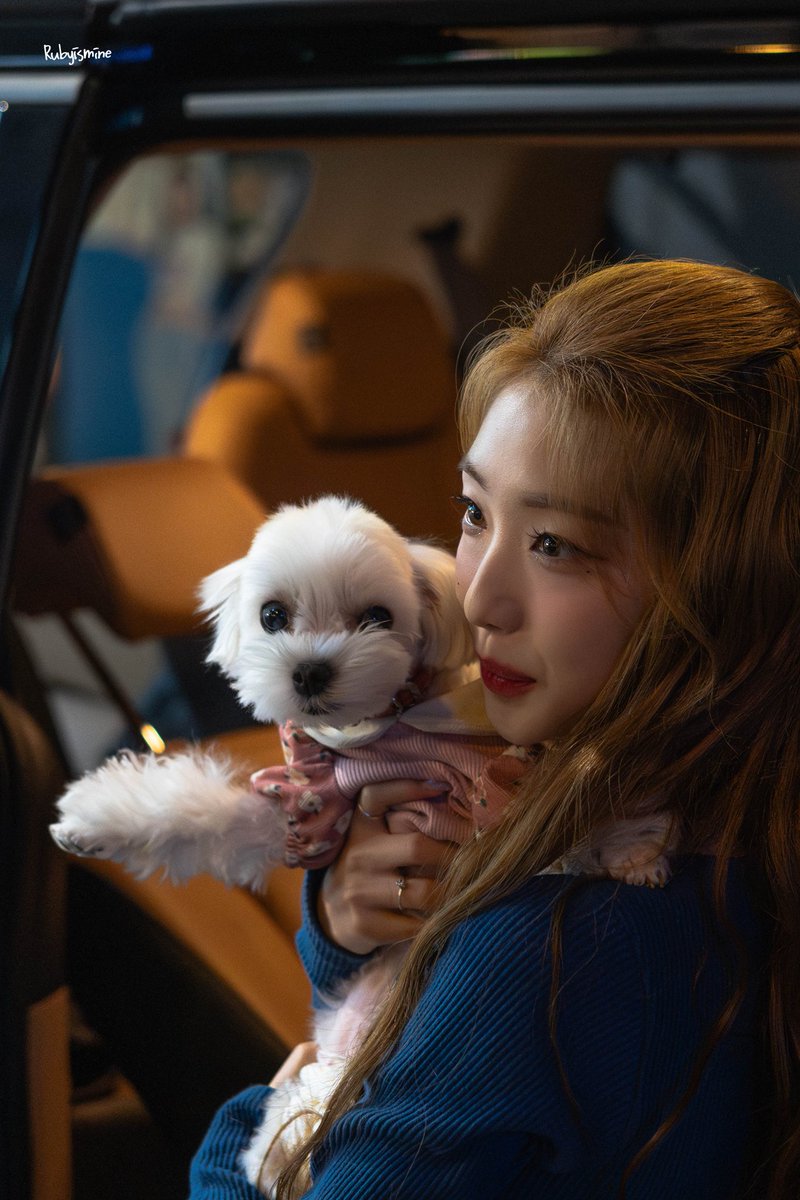 lubyismine's tweet photo. 231111
#여진 #Yeojin #루셈블 #LOOSSEMBLE
#두부 #Doobu https://t.co/4rbVayEJCk