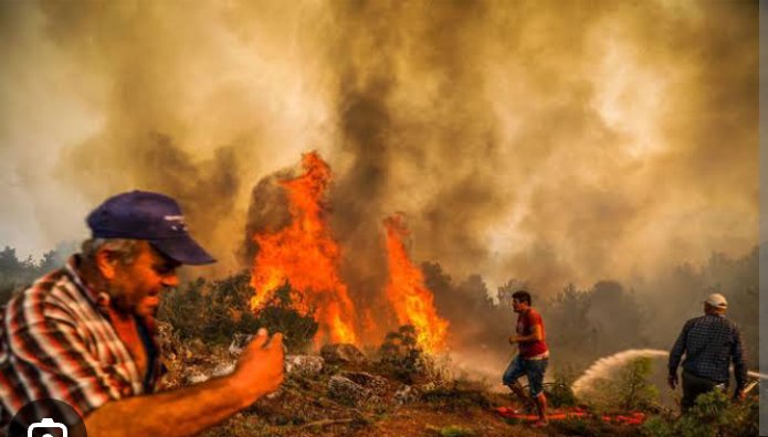 Orman yangınlarında bizimle birlikte böyle mücadele eden sığınmacı gören var mı ?
Yarın öbür gün vatan savunmasında da göremeyeceksiniz!