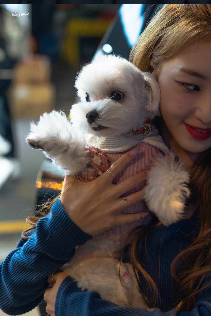 lubyismine's tweet photo. 231111
#여진 #Yeojin #루셈블 #LOOSSEMBLE
#두부 #Doobu https://t.co/VmJFxZw10e
