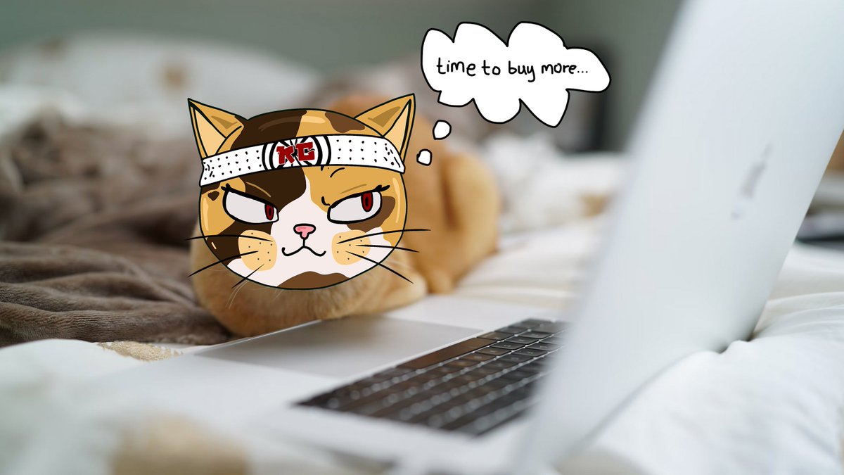 karate cat tweet media
