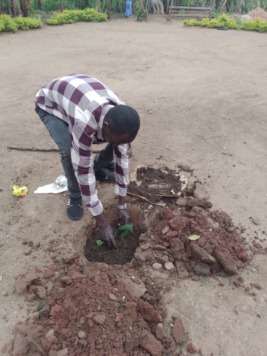 lenityhearts's tweet photo. Our CEO @KavumaJessy participated in the fight for climate change in Nakaseke district.
Every tree counts in our battle against global warming. Let's make tree-planting a global movement!
#ActionForNature #PlantForThePlanet https://t.co/hHIccDpRAW