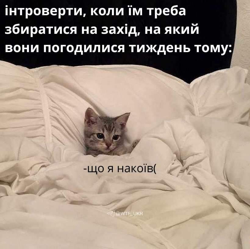 whatafactukr's tweet photo. https://t.co/ewXM8ljw98