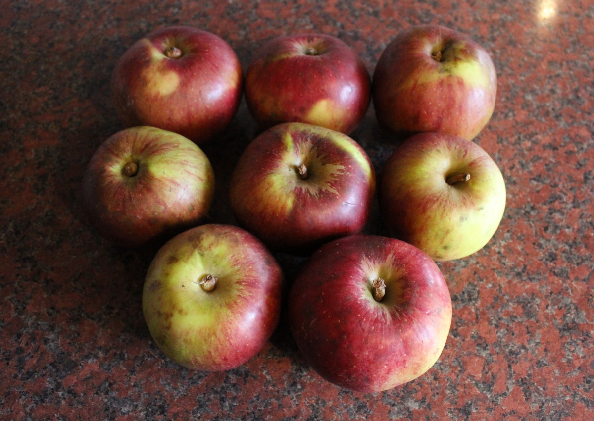 And so it begins... the first instalment of my history of the 'Beefing' apples is now live on Orchard Notes. 

Background info, series introduction, and Chapter One:  The ‘Beefing’ Apples Story, 1900 – Today. 

orchardnotes.com/2024/08/18/ann…