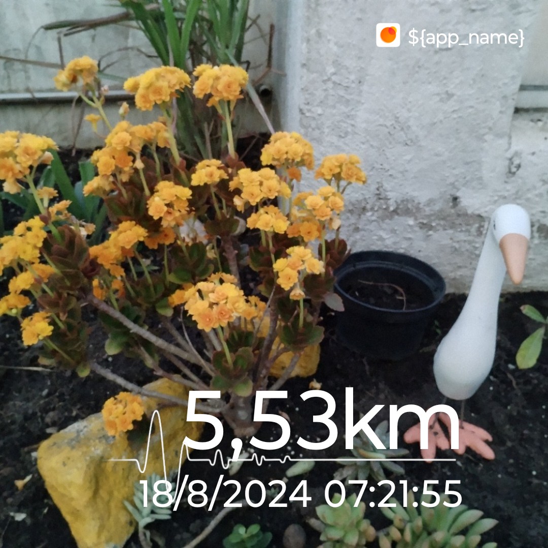 diaomartins's tweet photo. Ela não vai mais chorar
Não vai mais ficar sozinha
Um sorriso em seu olhar
Diz pra mim que um outro alguém
Já tomou o meu lugar...

Bom dia Cajuru do Sul! Dia 11/31! #Caminhada https://t.co/mLJNJIEwP4