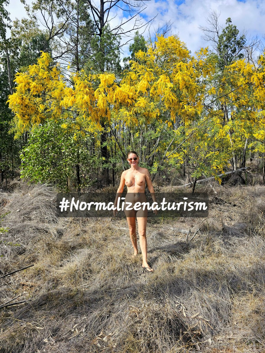 Bare Camp Nudists tweet media