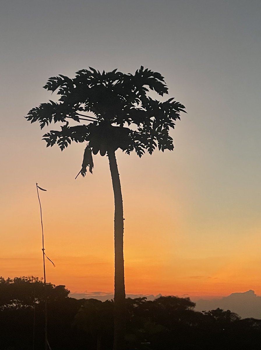 maoherrera7's tweet photo. Vereda El Carmen. #Villavicencio. 5:29 Am. hoy si cazamos EL amanecer!  #TributoaIsa. #TributoaHash. #CazandoAmaneceres. https://t.co/NQcqrN5GI9