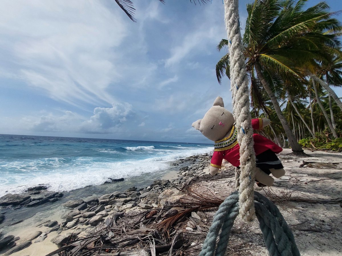 thundho's tweet photo. Lily went around fuvahmulaku. She visited the thundi, ruhgandu, vevu and bandara kulhi. https://t.co/tsZVrgrZFW