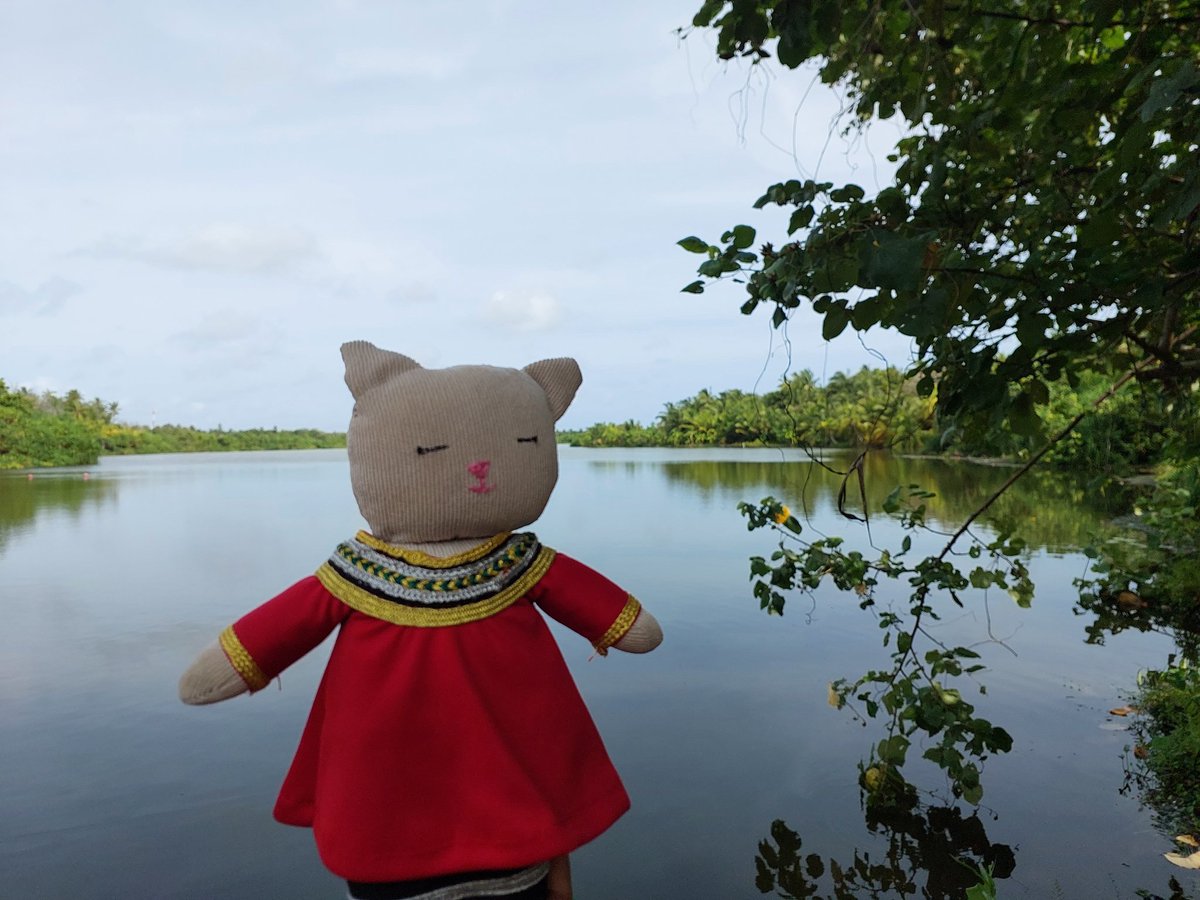 thundho's tweet photo. Lily went around fuvahmulaku. She visited the thundi, ruhgandu, vevu and bandara kulhi. https://t.co/tsZVrgrZFW
