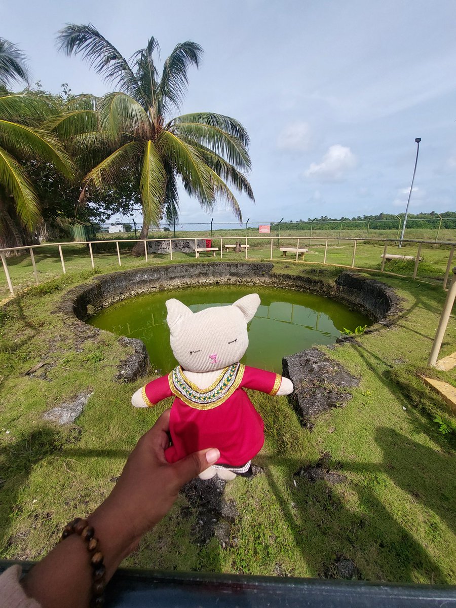 thundho's tweet photo. Lily went around fuvahmulaku. She visited the thundi, ruhgandu, vevu and bandara kulhi. https://t.co/tsZVrgrZFW
