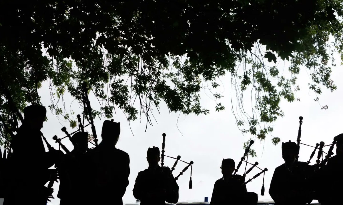 colin mearns tweet media