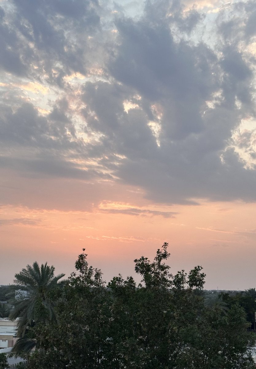 إن في الحياة بعض الفترات الانتقالية لا يمكن اجتيازها دون أن يموت شيءٌ ما بداخلك..