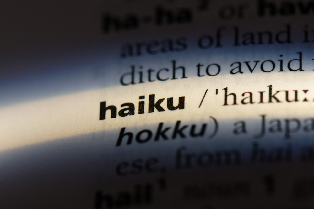 eric_dessner's tweet photo. Hi all. Gentle reminder about our ongoing Haiku contest. 

See Details below!

https://t.co/ttGWoOrhxt https://t.co/2eOlfvR36Q