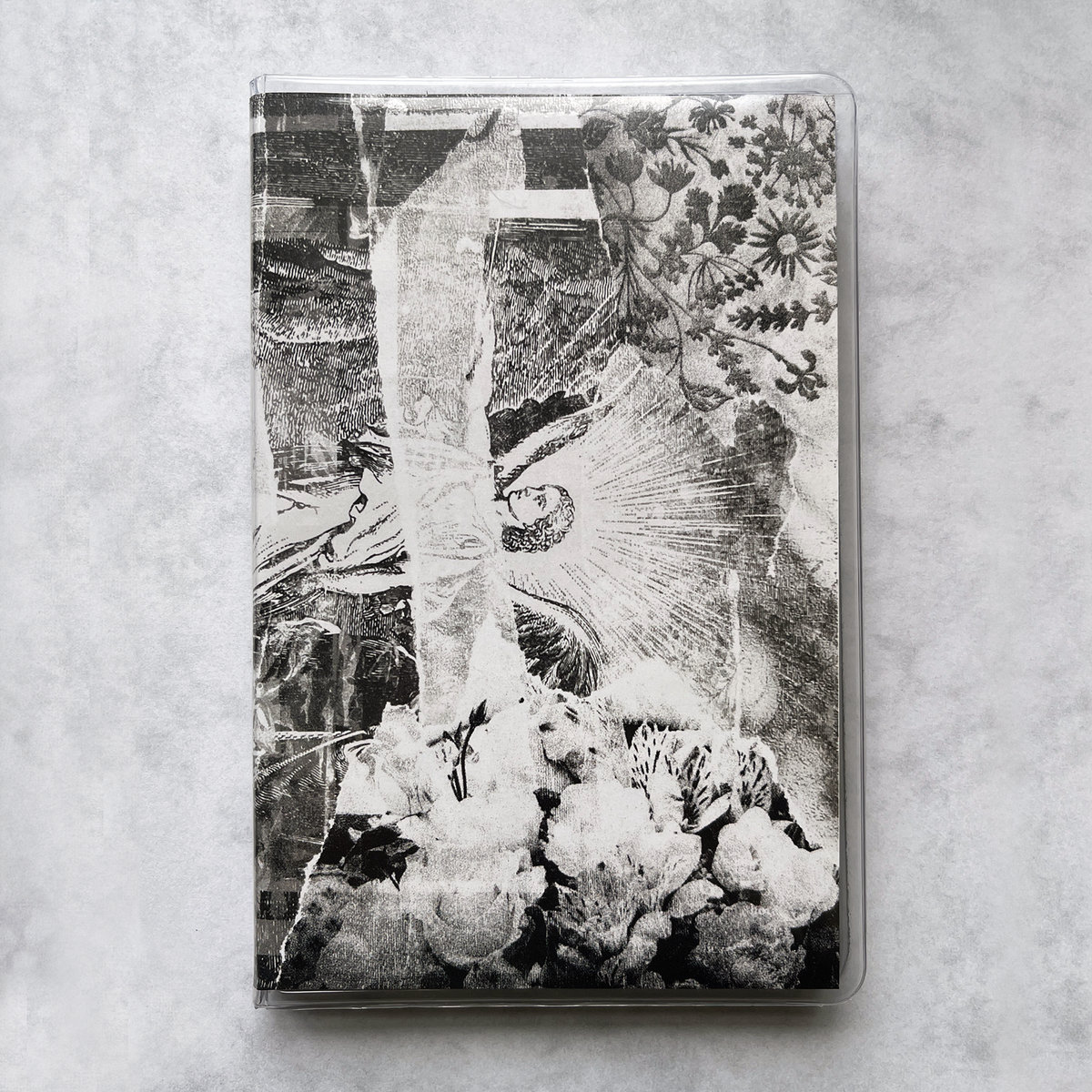 Split
Cementation Anxiety/Lilac Wreath
nouvellegaze.bandcamp.com/album/split

ジャケがよすぎる。かっこいい。