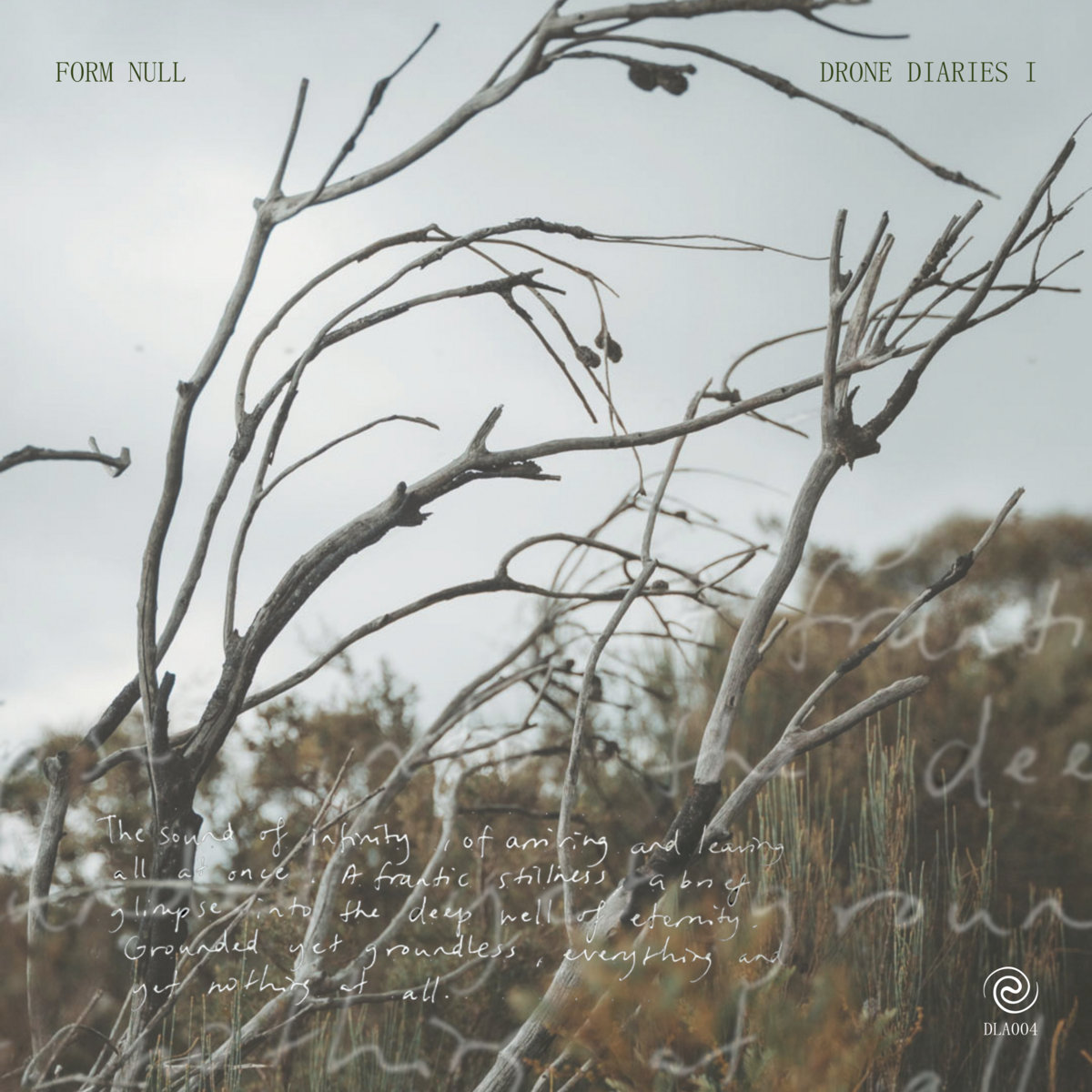 FORM NULL - Drone Diaries I
formnull.bandcamp.com/album/drone-di…
9月13日リリース予定。まだ１曲しかでてないけど、すごいドローンだった。スピーカーからなる両極端でシンプルなサウンドがフレッシュで、個人的にちょっと衝撃的だった。カセットテープで表現できるのだろうか。