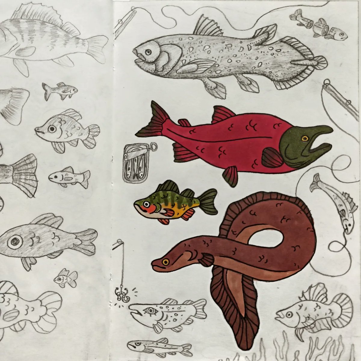 VesthiArt's tweet photo. Fishes in my sketchbook! 𓆝 𓆟 𓆞
@CorvinArtSchool #fishart #sketchbook #redsalmon #eel https://t.co/vVPgp03iQL