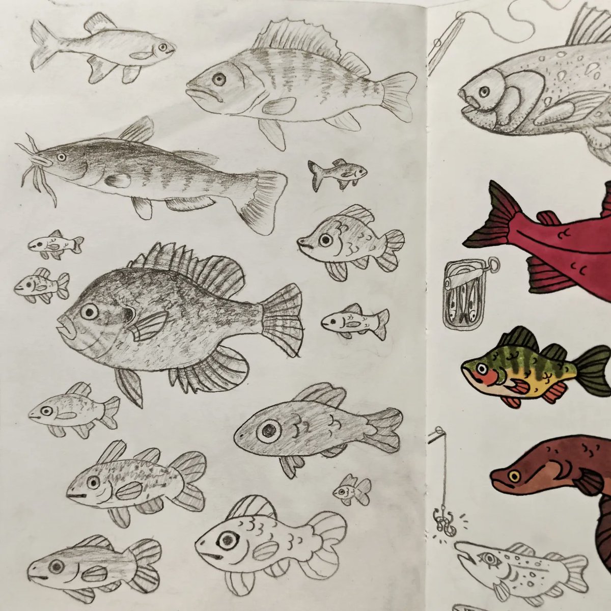 VesthiArt's tweet photo. Fishes in my sketchbook! 𓆝 𓆟 𓆞
@CorvinArtSchool #fishart #sketchbook #redsalmon #eel https://t.co/vVPgp03iQL