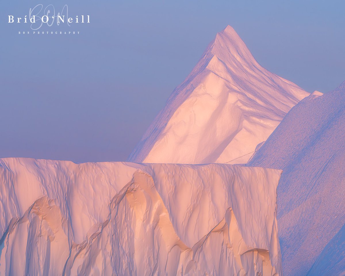 NeillBrid's tweet photo. Pavlova anyone? It is Sunday after all!!

The shapes and textures of the icebergs are crazy. Glowing in the setting sun at midnight. 

#icebergs #glaciers #ice #iceformations #midnightsun #greenland #adventure  #BONPhotography https://t.co/lpEPynUk3Z