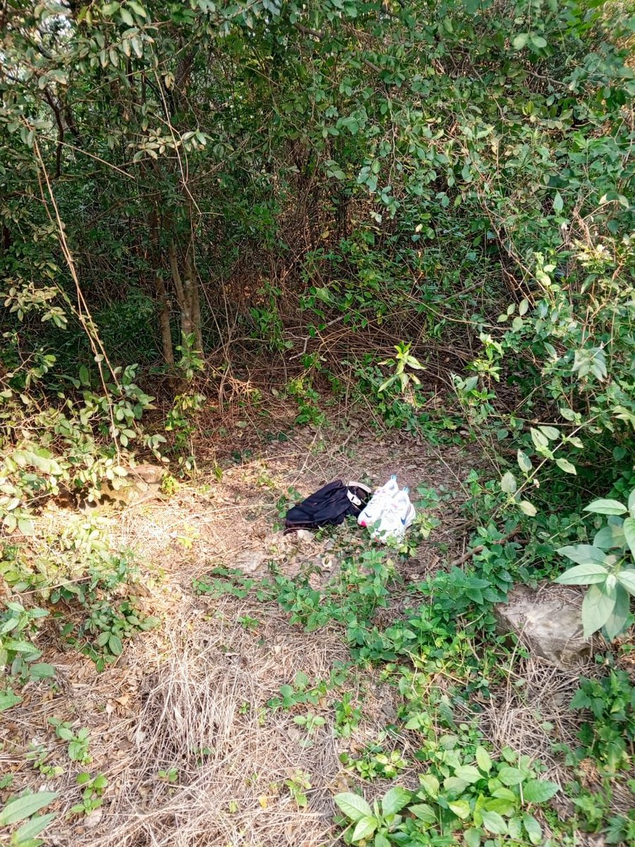 delpynews's tweet photo. ▶️TIERRA DE NADIE |😖

🔴¿Te imaginás ir a hacer ejercicio y que te intenten violar? Esto le pasó a una joven de 26 años en el Parque Guasu.

📌Un sujeto le agarró del cuello para abusar de ella, pero los gritos de la mujer alertaron a un hombre que la salvó.

😡El autor está prófugo. ¡Peligro total!

🎥@angelicagesama