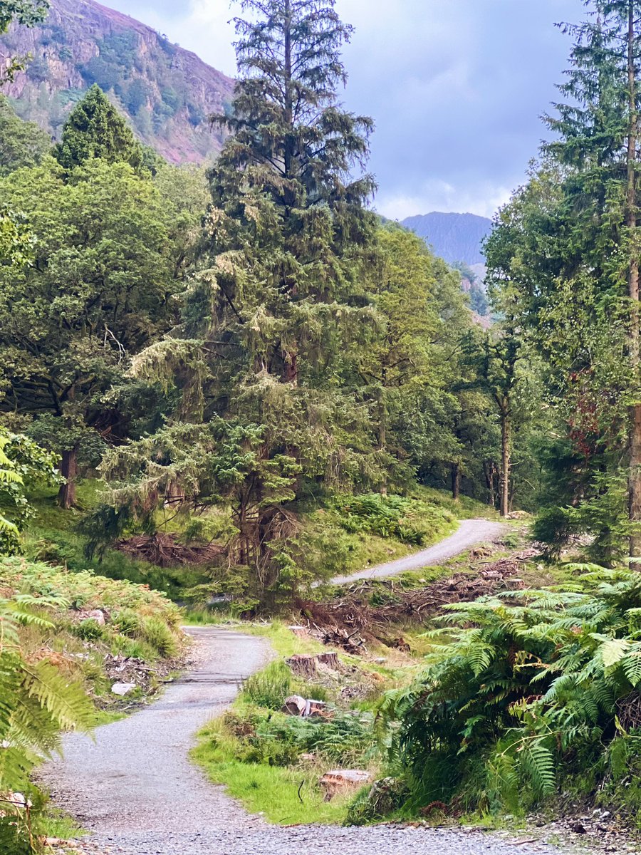 laurenemsutton's tweet photo. the sound of streams &amp; company of wildlife was what this weekends morning miles consisted of // Langdales

#LakeDistrict https://t.co/QI7I3WxHDi