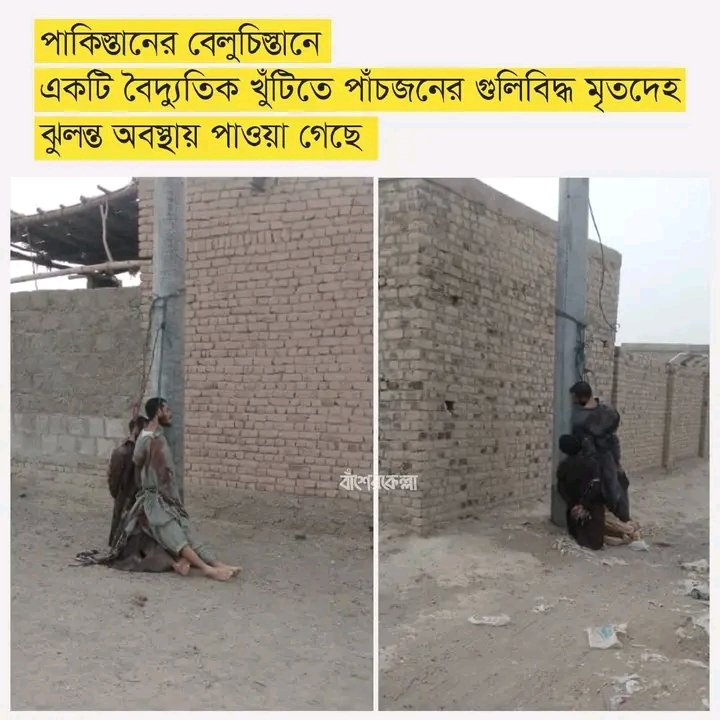 tanjiyaprity's tweet photo. Five shot dead bodies found hanging from an electric pole in Pakistan's Balochistan.🇵🇰
#savepakistanistudents
#StepDownPakGov
#ResignShehbazSharif
#ShehbazStepDown
#AllEyesOnPakistan
 #SavePakStudentsAlJazeera https://t.co/WQ5ZiUaDQO