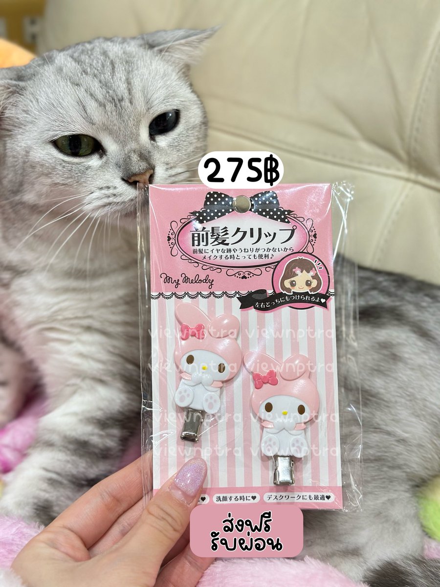fluffybunnyst's tweet photo. ♡ྀི ˖ ⊹ กิ๊บซานริโอ้พร้อมส่ง ꐑꐑ !
𓈒 ˖ ࣪ 𝜗𝜚 ׅ ۫   เริ่มต้น 25O฿ ส่งฟรี ⋄ 𓍯
₊˚⊹ᡣ𐭩  รับวอลเลต รับผ่อน  . 𖧧 ࣪. ִ ֗

✅ ส่งจริง ของแท้ 1OO% ⭐️
✅ แม่ค้ามีตัวตน เช็คเครดิตได้ 💘

 #ตลาดนัดsanrio #กิ๊บsanrio #กิ๊บซานริโอ้ #ตลาดนัดซานริโอ #ตลาดนัดซานริโอ้ https://t.co/OEKvwTvQVd