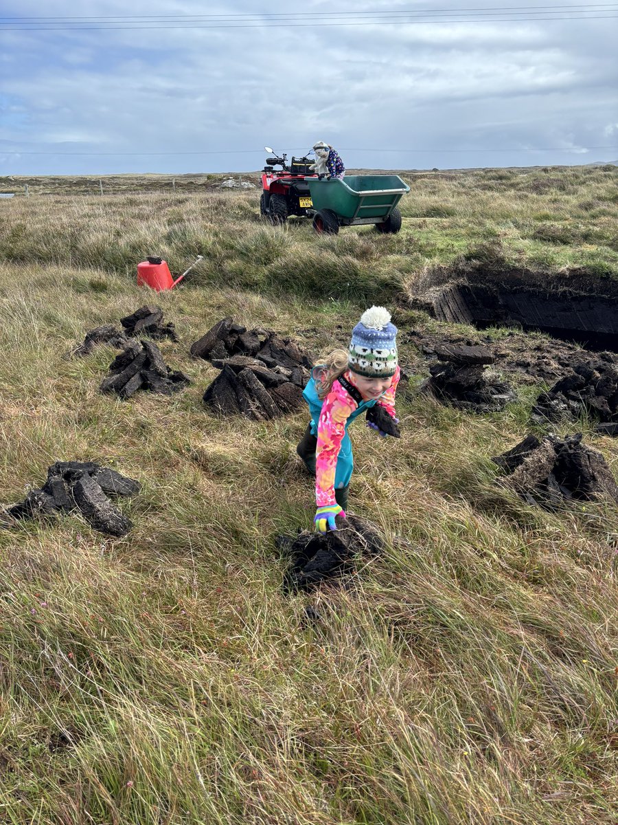 Alasdair_McK's tweet image. We’ve got a peats for snacks arrangement #Peats #Benbecula