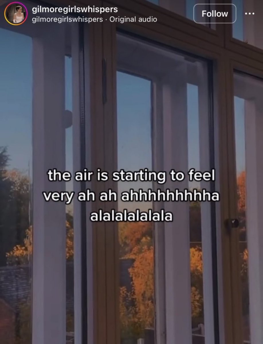 gilmxres's tweet image. gilmore girls fall is on the horizon