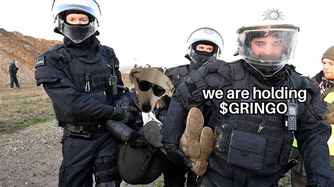 ituly57760's tweet photo. @W0LF0FCRYPT0 True story!
Fresh meta.
Based Team.
#goodboygringo https://t.co/l1wOkIOxOn