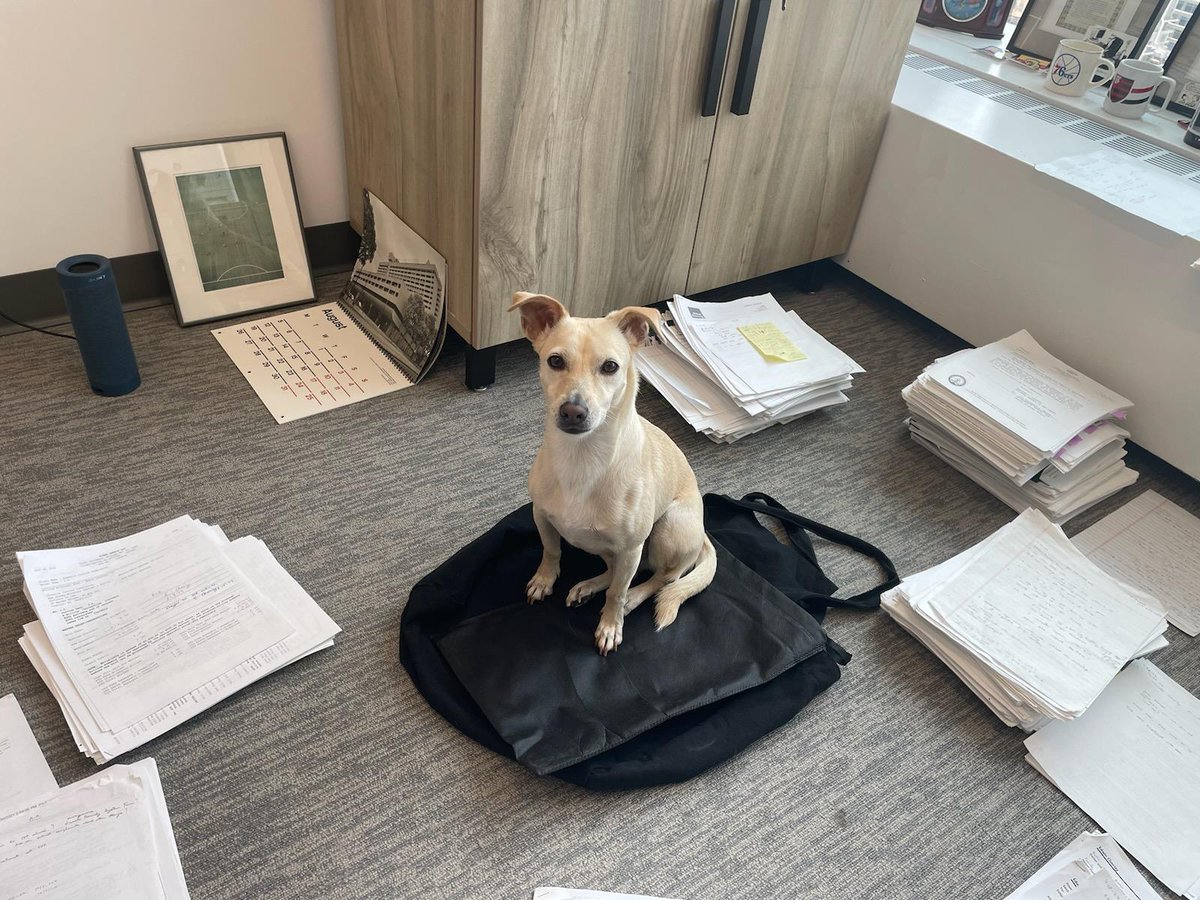 Today my daddy took me 🐕 to his office in Bryant Park 🌳🏢 because he couldn't bear to be without me!! 😂🤭 I promise I didn't bark at anyone! 🤫 It was such a fun 😝 day 🗓️ on the job!! 🖥️📃 #DogsOfX