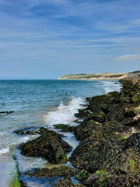 pasdecalais62 tweet media