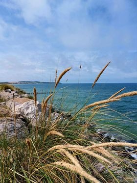 pasdecalais62 tweet media