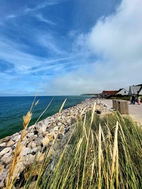 pasdecalais62 tweet media