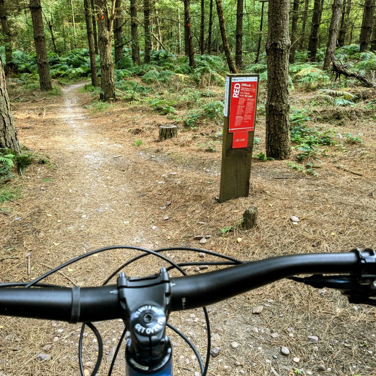 CloudBusiness9's tweet photo. Great to get out on the #mountainbike tonight in the forests of #Staffordshire π²π΄ββοΈπ² #ebike #ebikes #Whytebikes #mountainbiking https://t.co/kvsb29fSVs