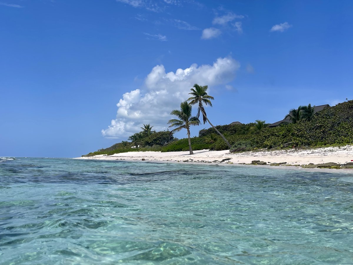RaoulGMI's tweet photo. Touching turquoise on a Sunday in Little Cayman... https://t.co/j0JSub89TK