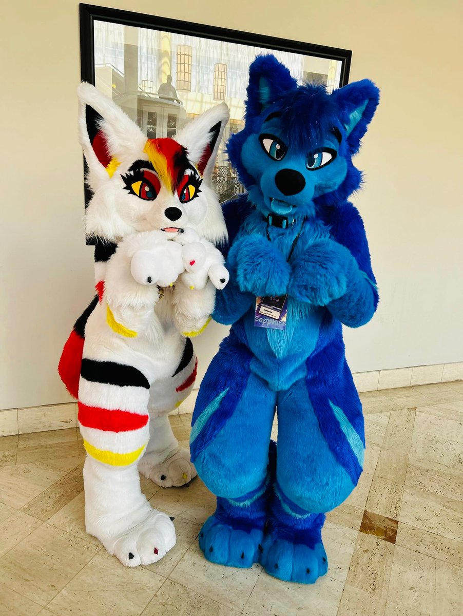 Can we get some treats? 
📸: @/Lovely_Punky
#furry #furries #furryfandom #furrycommunity #fursuit #fursuiter #foryoupage #fyp #fypシ