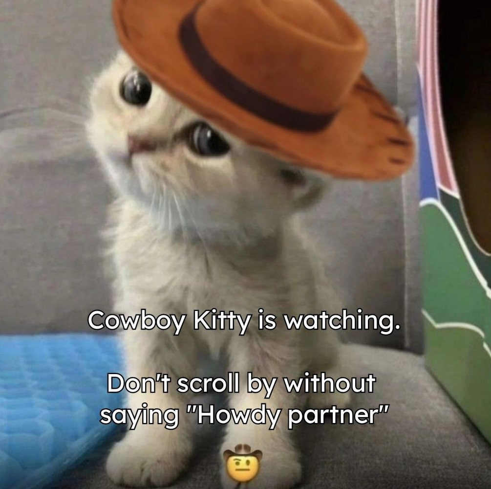 Catsillyness's tweet image. Howdy partner!