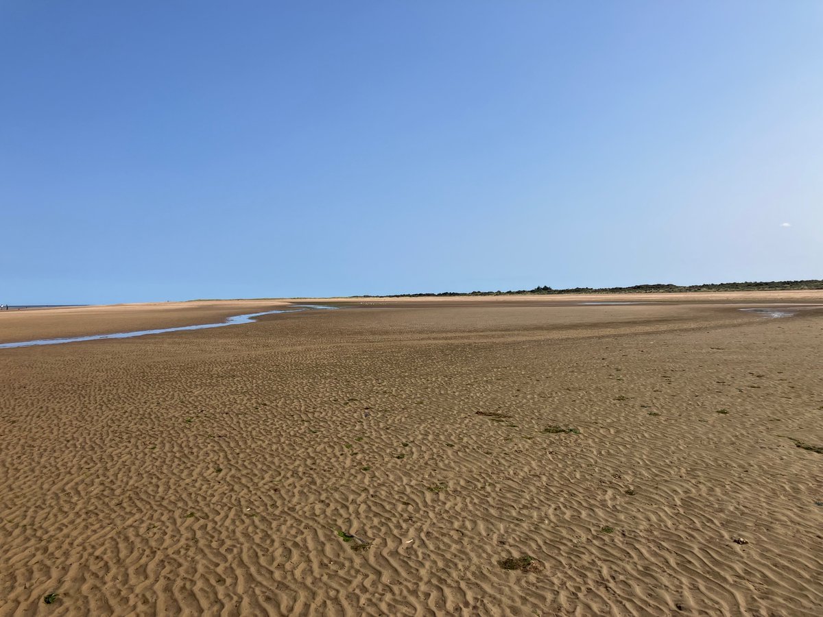 Dame Snatch tweet media