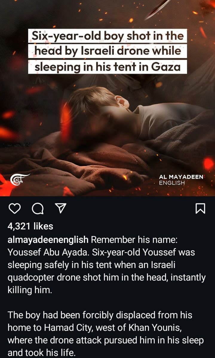 Faith FoX 🇵🇸🗽 tweet media